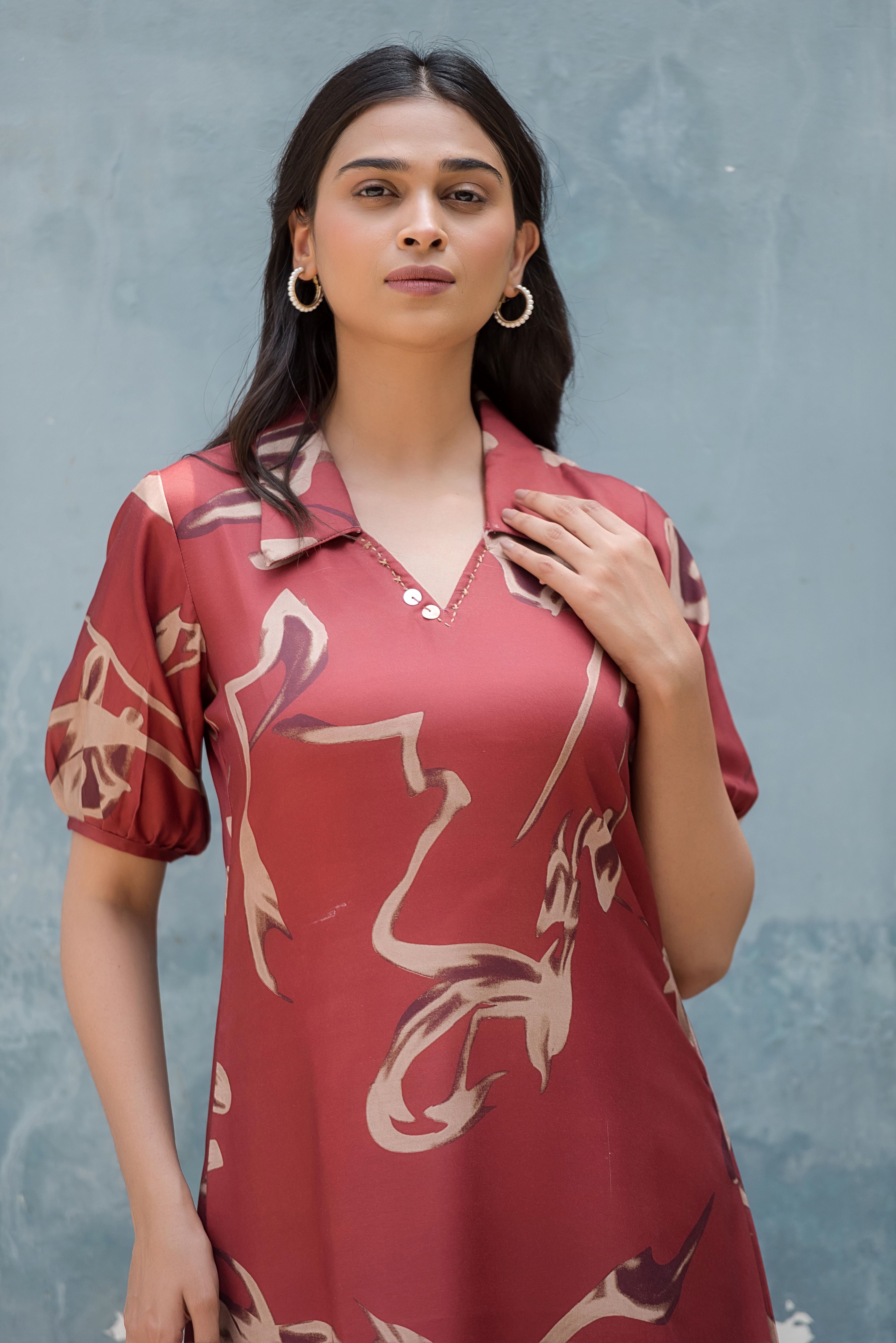 A Red A-line Printed Dress