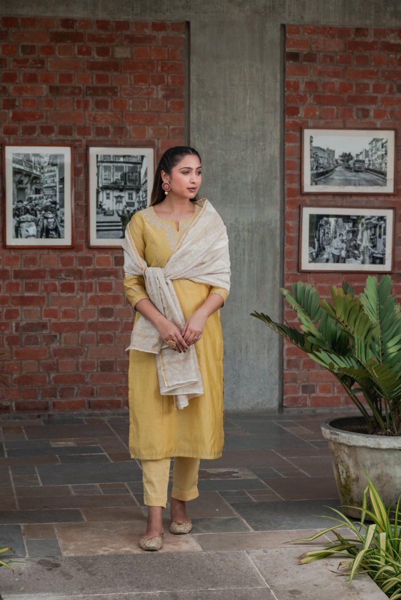 PAYAL Festive Straight Suit Set - Payal