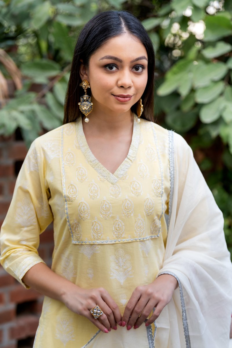 Silver Printed Cotton Cambric Suit Set - Payal